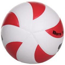 GALA BV5671S Bora 10 volejbalový míč